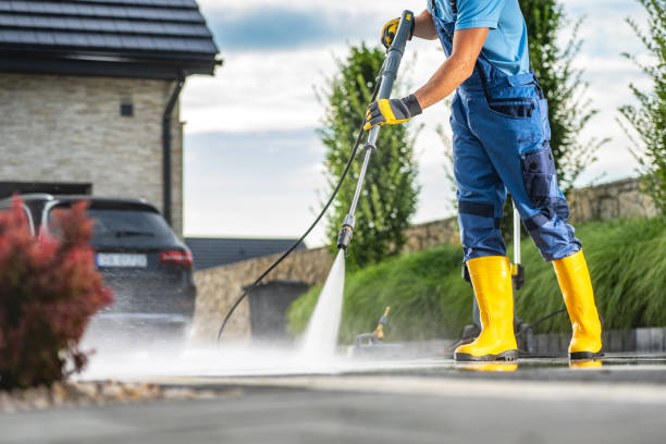 Best Solar Panel Cleaning  in Tice, FL